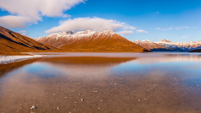 青青草成人在线